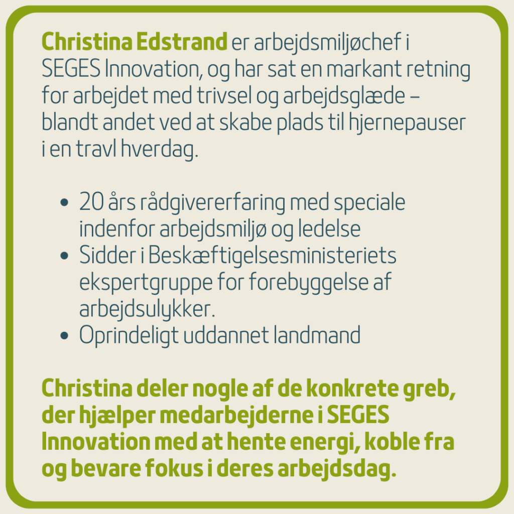 Christina Edstrand - SEGES Innovation - bio